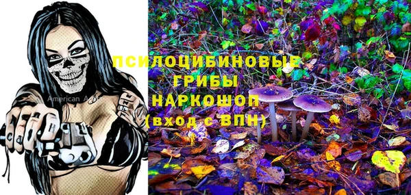 скорость Липки
