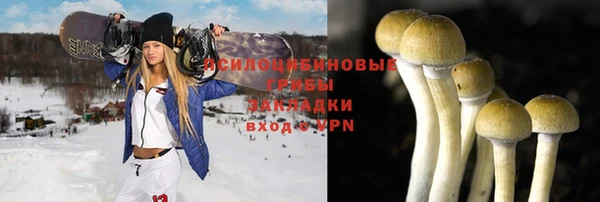 скорость Липки
